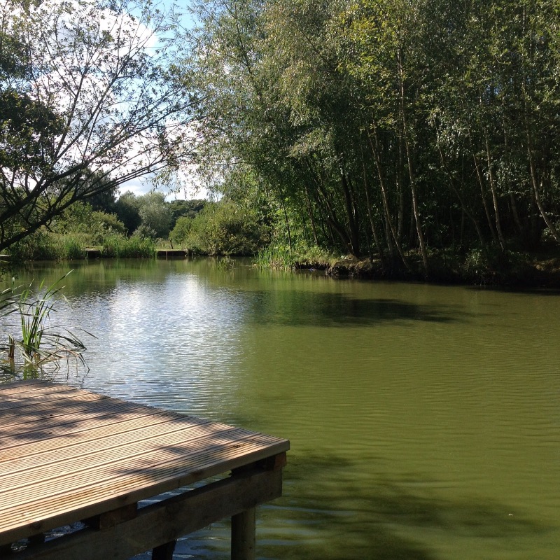 Fishery Lloyds meadow coarse fishery Cheshire